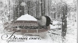 Снежный белый вальс.
. Исп. Марина Докучаева.Слова и музыка Ирины Маняшиной