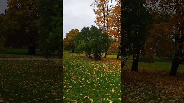 Краски осени-Colors of autumn