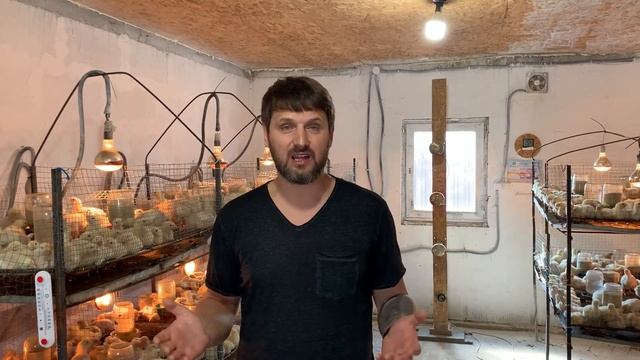 Выращивание бройлера, динамика роста бройлера на 11 сутки, бизнес на бройлере кобб 500, водянка.