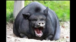 Кто такой на самом деле Глад Валакас!