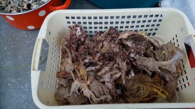 Нет❌мясокостной/Как приготовить корм дома для кур и перепелов/ Состав корма птице.