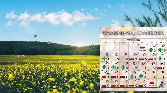 Лунный календарь стрижки волос в апреле + ритуал для волос  #календарьстрижек #стрижкиапрель #ритуа