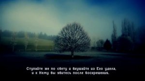 Красивое чтение Корана. Mishari Albaghli. Сура  аль-Мульк . HD