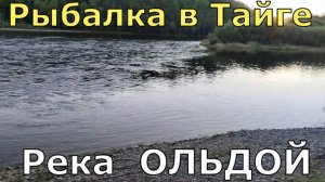 Рыбалка в тайге на река ОЛЬДОЙ в Амурской области.