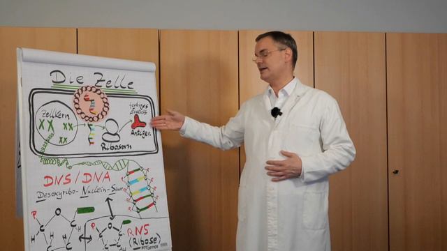 Leben und Arbeiten in Corona-Zeiten - Impfstoff смотреть онлайн