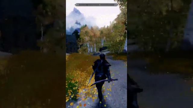 Новые анимации двуручного меча в Скайриме || Skyrim SE Relfyem #tesv #gaming #animations #skyri смотреть онлайн