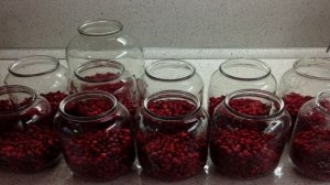 Компот из брусники на зиму