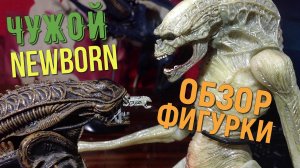 ЧУЖОЙ: ВОСКРЕШЕНИЕ Обзор фигурки Рожденный от Neca (Alien Resurrection Deluxe Newborn Action Figure)