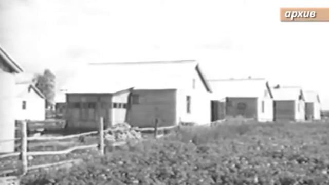 «К 50-летию движения стройотрядов РУДН»: Валерий Белов смотреть онлайн