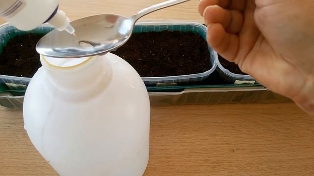Сеем Петунию ПРОСТО, а взойдёт БЫСТРО. эффективный способ посева ПЕТУНИИ.