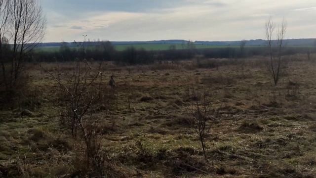 Поехал снимать заставку Windows XP в поля Нижегородской области. смотреть онлайн