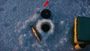 ловля щуки в разные месяцы года. как ловить щуку