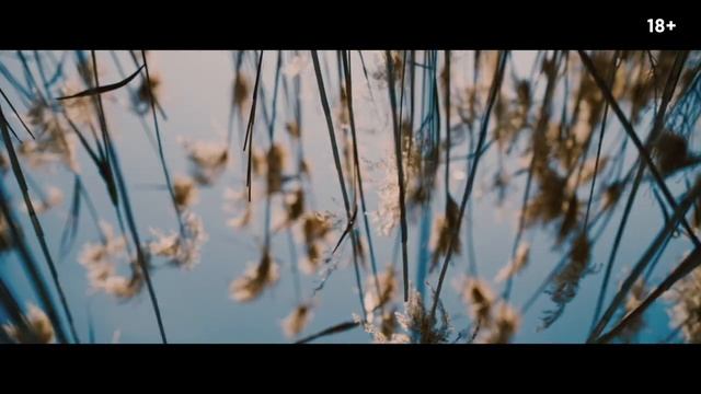 Кинозал ДК приглашает с 1 июня на фильм "ПЕРЕВОДЧИК", 18+ Запрещено для детей, 120 мин. #кинозалДКям