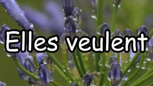 VOULOIR (To Want) Conjugation Song - Present Tense - French Conjugation - Le Verbe VOULOIR