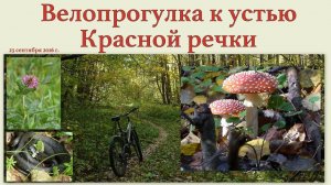 Велопрогулка к устью Красной речки