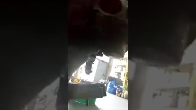 Тест двигателя SUBARU EJ204 D550499 смотреть онлайн