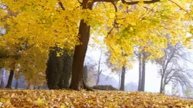 Enchanting Autumn Forests with Beautiful Piano Music?4K Autumn Ambience & Fall Foliage