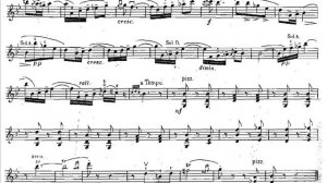 Godard, Benjamin 1th violinc. Mvt. 2end  +3+4