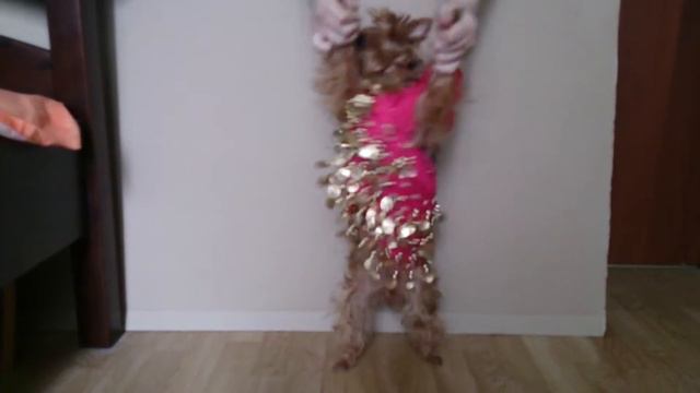 Краса востока смотреть онлайн