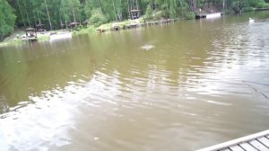 Рыбалка на Калиновке рекомендую !