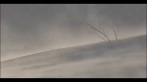 Мистическое завывание зимней  вьюги и вой волков.