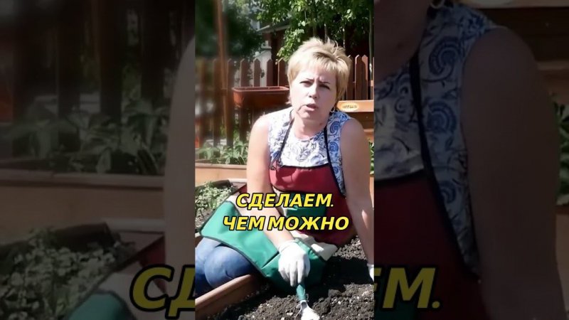 Почва для перца
