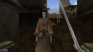 The Citizens of Morrowind are rude