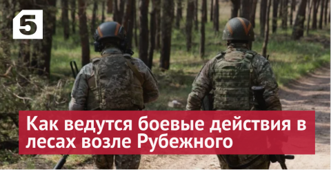 Шахматная партия в лесу: как ведутся боевые действия в районе Рубежного