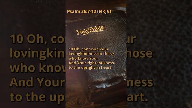 Psalm 36:7-12 (NKJV)