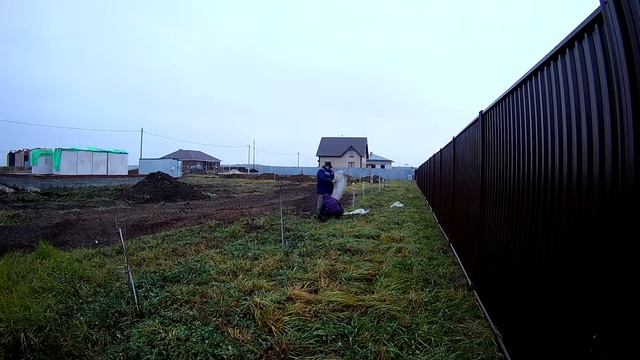 Как сохранить саженцы от зайцев и солнечных ожогов зимой смотреть онлайн