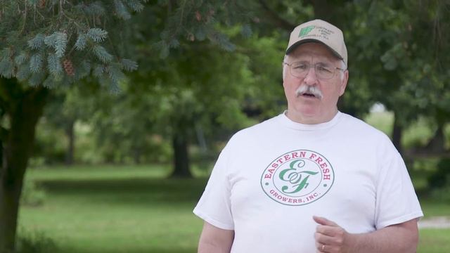 Rutgers Ultra Niche Crops | Asparagus Sneak Peek смотреть онлайн