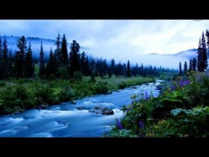 Наша Сибирь. Клип.