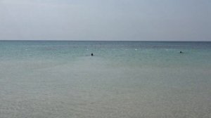 Отель Hammamet Beach - Тунис - пляж 2016