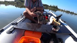 Ловля щуки осенью на блесну. Лучшая блесна на щуку. Рыбалка