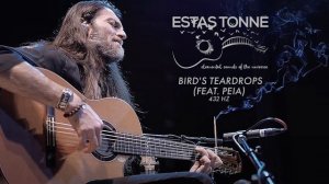 Estas Tonne - Bird's Teardrops (feat. Peia) 432 hz