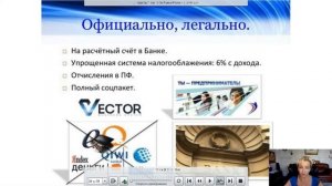 VECTOR   Суть проекта   Ольга Архипова