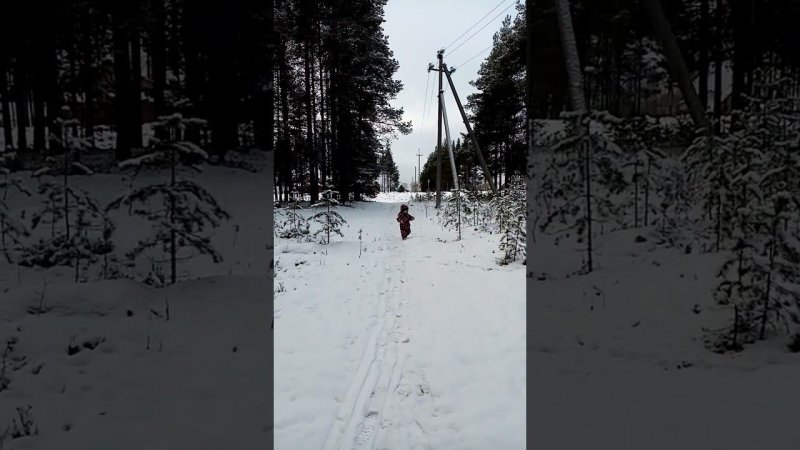 ❄️Невероятно красивая снежная тайга в октябре ❄️