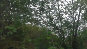 Байкал 2019. Кругобайкальская железная дорога (КБЖД). Экскурсия. Часть 4