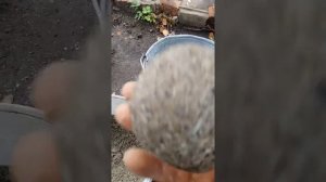 Уловистые котлеты для ловли рака.