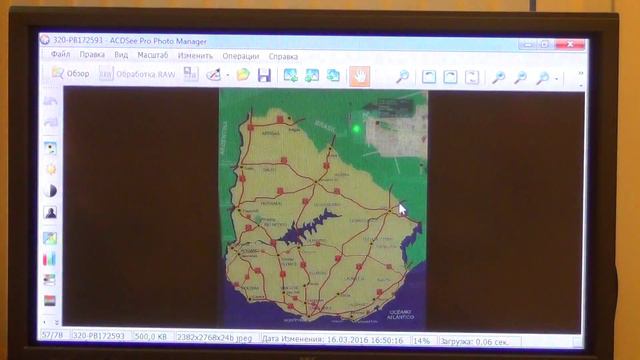 В.Гапон «Разнообразие кактусов рода Wigginsia. смотреть онлайн