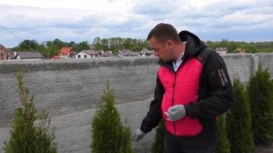 Вредители туи, как бороться, что делать, минирующая моль пестрянка? Сохнет хвоя туи.