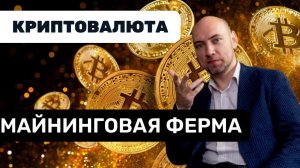 Что такое и как работает майнинговая ферма? Душкин объяснит