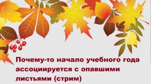 Почему-то начало учебного года ассоциируется с опавшими листьями (стрим)