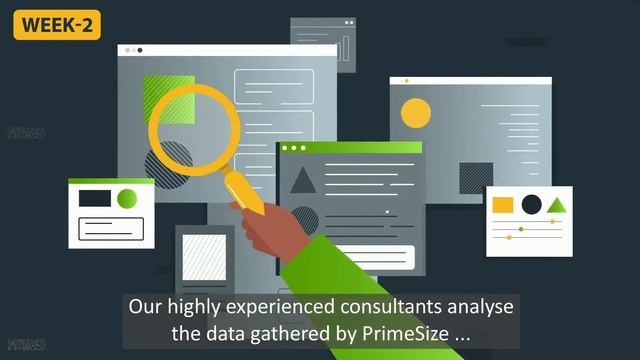 Our data-insights tool explained - Primesize. смотреть онлайн