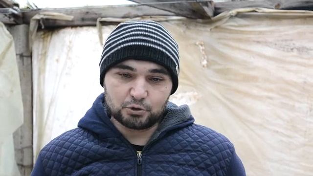 Поездка в Лимонарий "Эко-Цитрус" смотреть онлайн