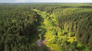 Будь пожалуйста...