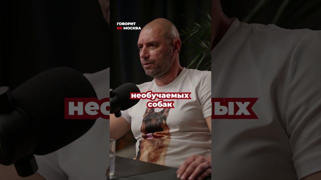 Анонс подкаста #7 Алексей Пискунов, кинолог, зоопсихолог #кинолог #собаки #говоритнемосква #подкаст