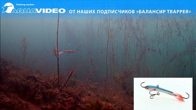 Балансир AQUA Trapper - это приманка для зимней рыбалки на как щуку, окуня и судака.