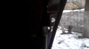 газовый упор капота на гранту