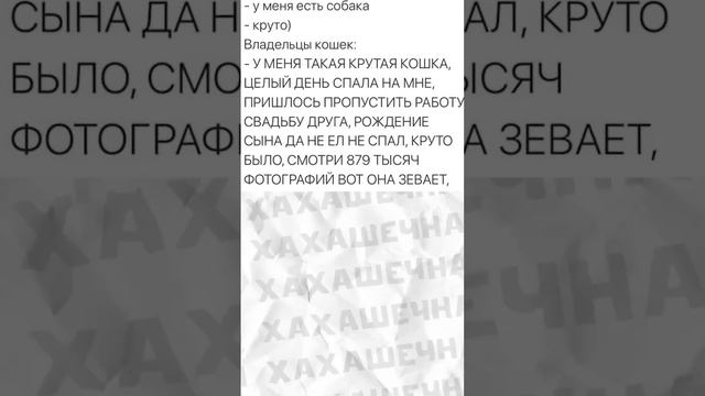 #приколы #мемы #мем смотреть онлайн